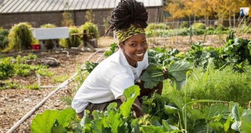 Dans le cadre de son programme d’appui aux petits producteurs, le PRESAN PC lance un appel à projets destiné aux coopératives et groupements agricoles.