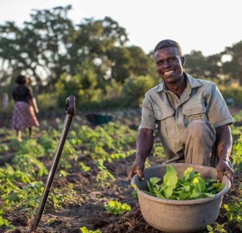 Lorem Ipsum is simply dummy text of the printing and typesetting industry. Lorem Ipsum has been the industry's standard dummy text ever since the 1500s, when an unknown printer took a galley of type and scrambled it to make a type specimen book.