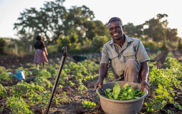 Lorem Ipsum is simply dummy text of the printing and typesetting industry.