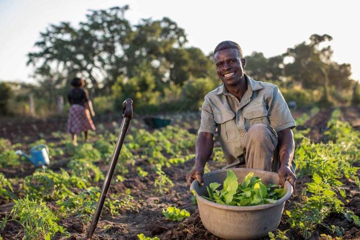 Lorem Ipsum is simply dummy text of the printing and typesetting industry.