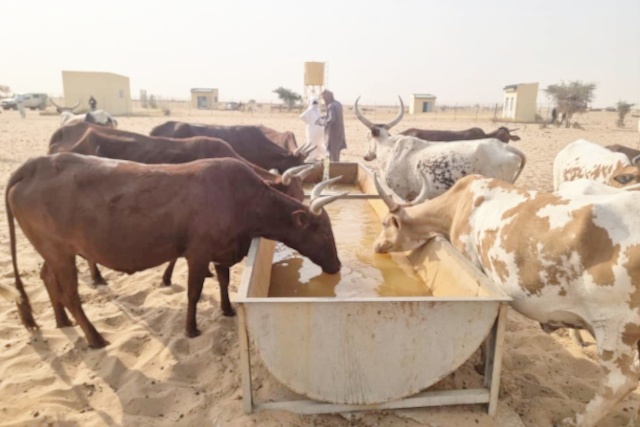 Lorem Ipsum is simply dummy text of the printing and typesetting industry. Lorem Ipsum has been the industry's standard dummy text ever since the 1500s, when an unknown printer took a galley of type and scrambled it to make a type specimen book.